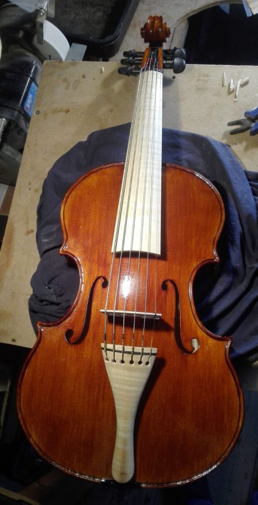 6 string violin
