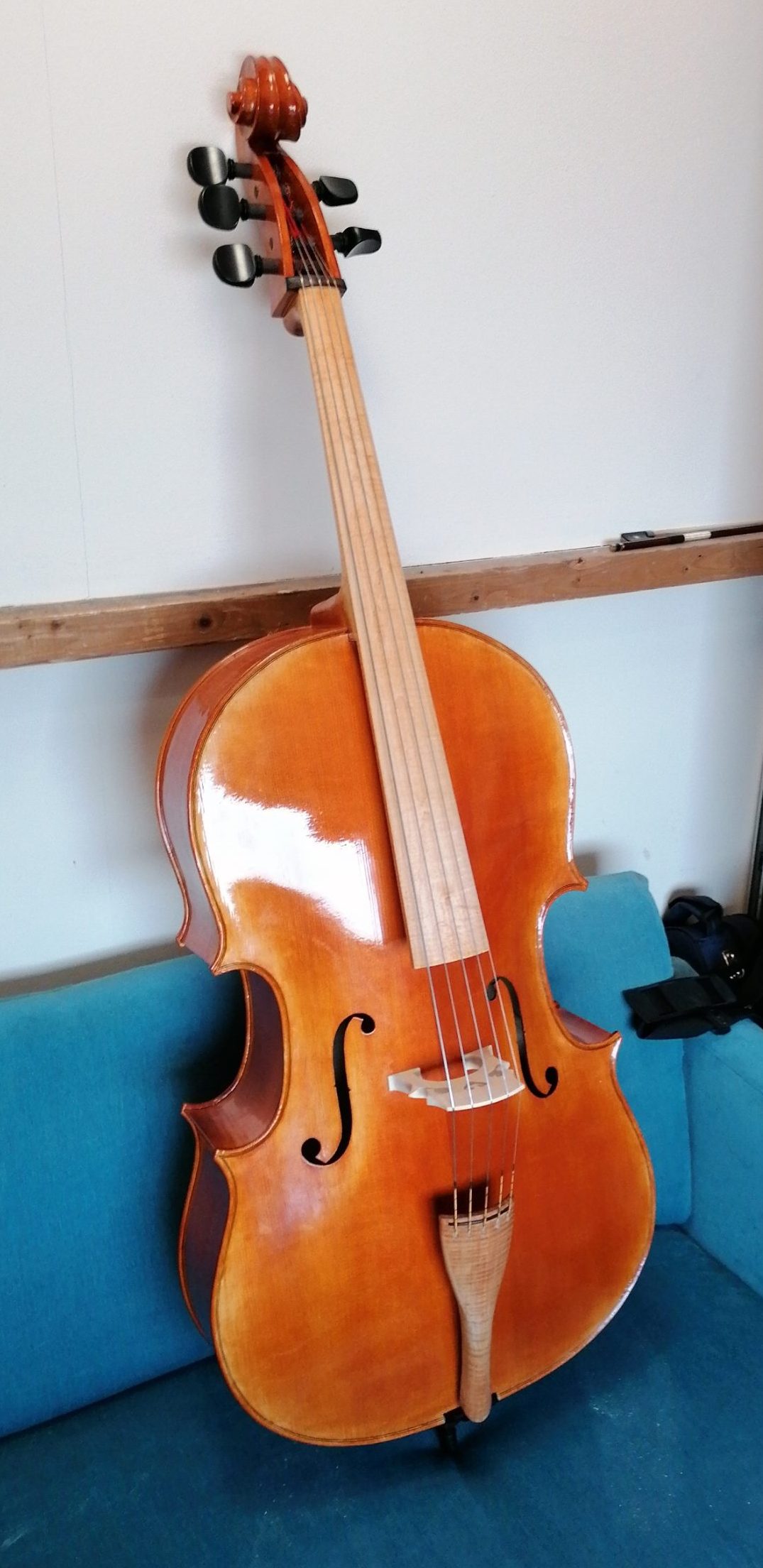 5 string cello